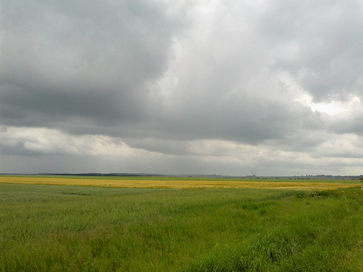 Borkovice